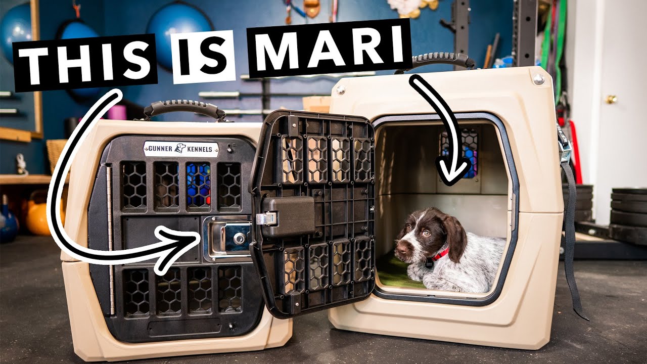 Gunner Dog Kennels | G1 Small & G1 Medium 🐶