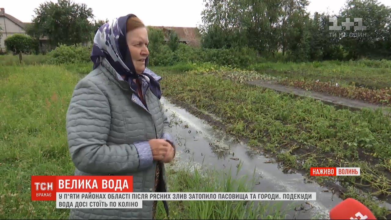 На Волині дощі затопили села, з берегів вийшли кілька річок