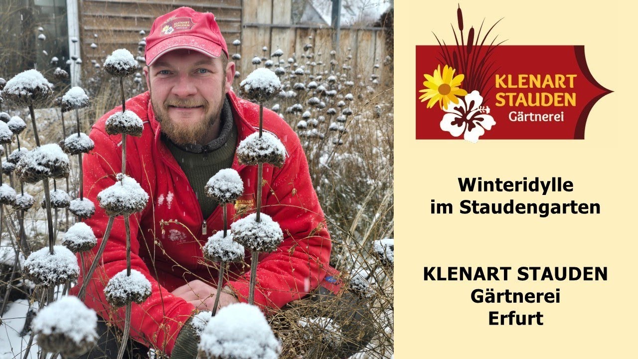 Winteridylle im Staudengarten