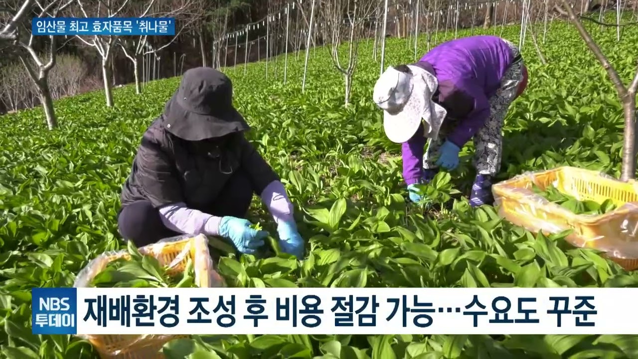 임산물 소득조사 결과 발표&hellip;지난해 최고 소득 품목은