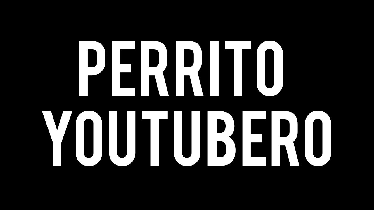 PERRITO YOUTUBERO