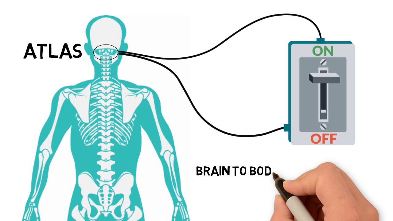 DR. SCOTT HANSEN D.C. IS AN UPPER CERVICAL CHIROPRACTOR IN LAGUNA HILLS, CA.