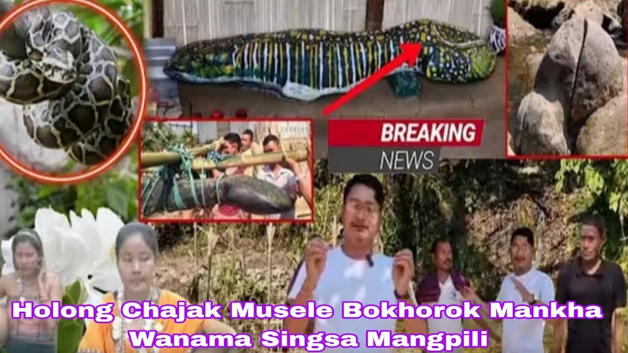 Dongui Raja Ni Bokhorok Mankha Raima Bai Saima Thakma Hathai oh