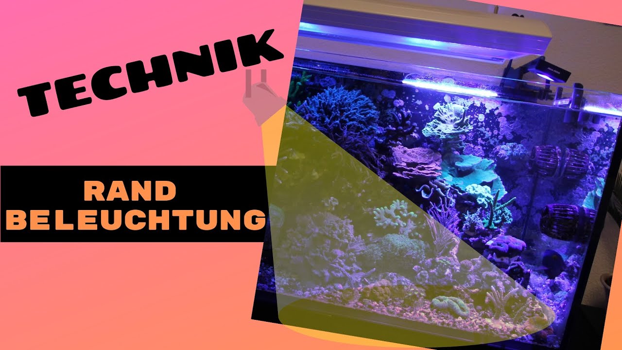 Optimierung der Aquariumbeleuchtung im Randbereich (LED)