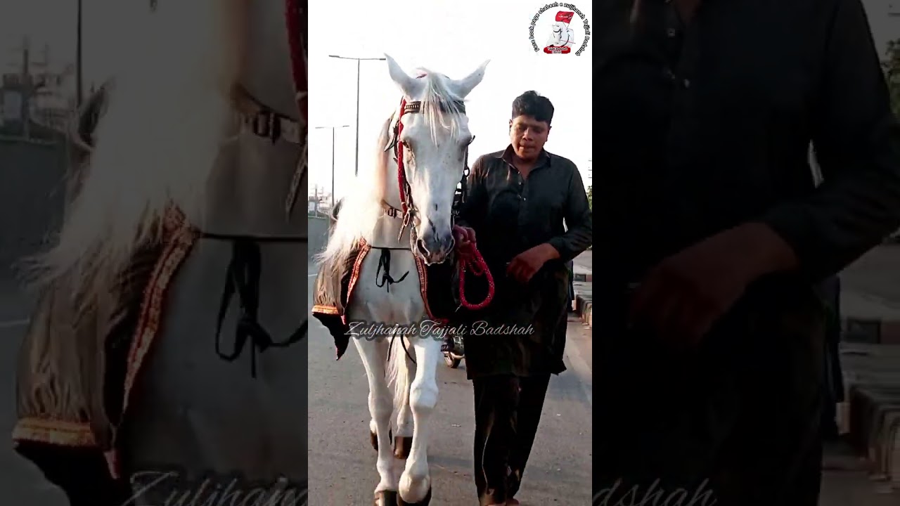 Daily routain walk #zuljhanahTajjaliBadshah evil 👀off matwali Imran Ali Lahore