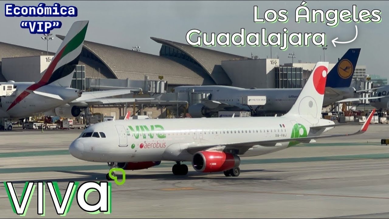 TRIP REPORT: Viva Aerobús | VIP Experience | Los Angeles (LAX) - Guadalajara (GDL) | A320