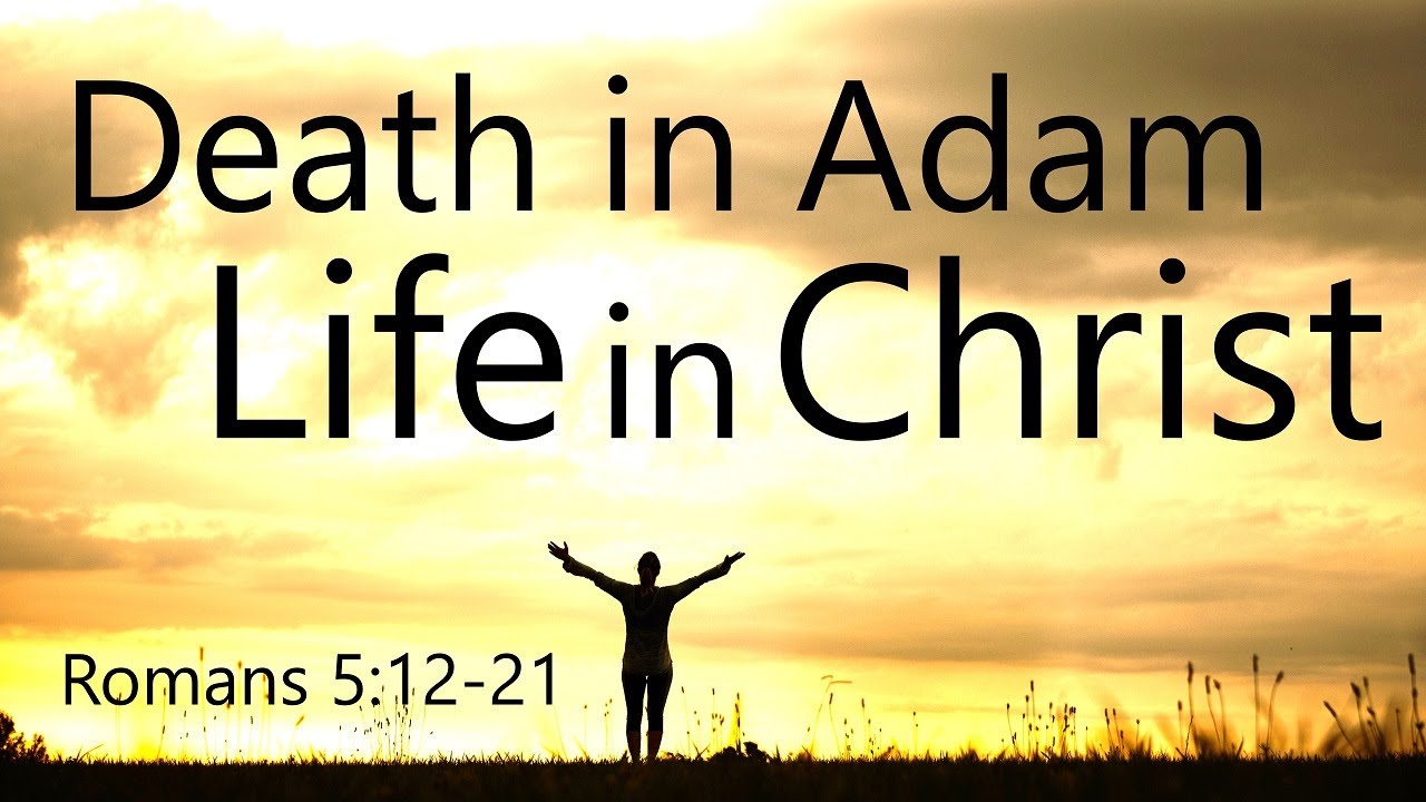 Death in Adam, Life in Christ (Romans 5:12-21)