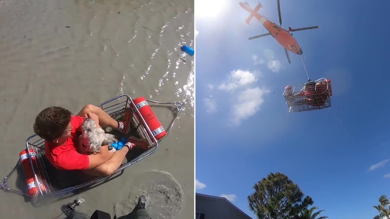Hurricane Ian: Coast Guard releases video of incredible rescues