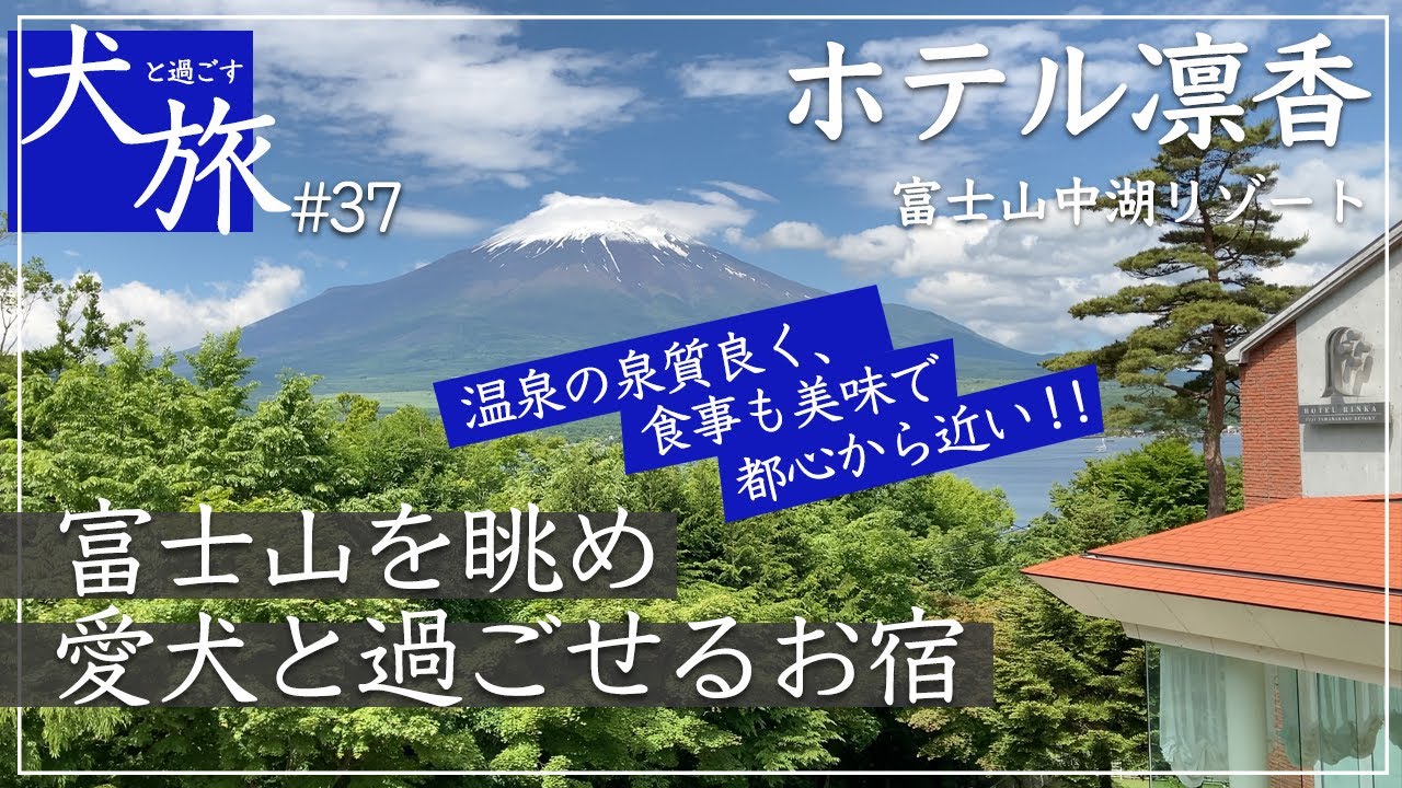 【ホテル凛香｜山中湖】愛犬と泊まれるお宿で、温泉を愉しみ、富士山を眺めて過ごす