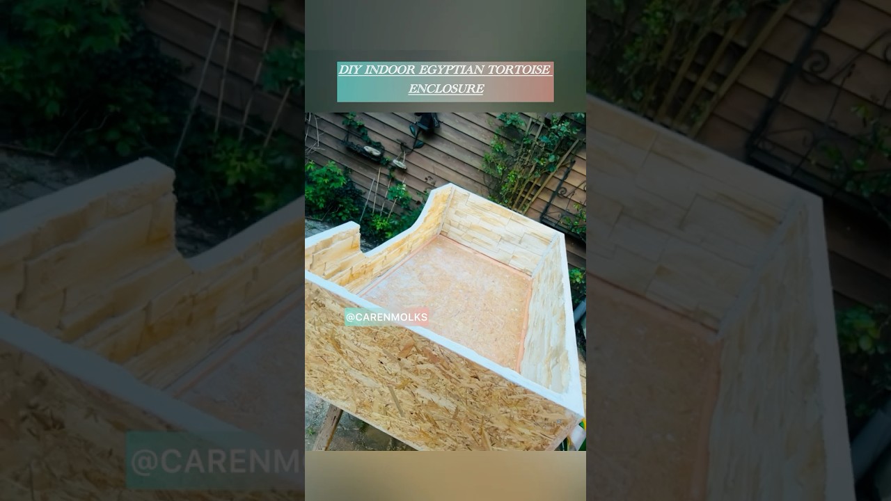 How to build an amazing indoor tortoise enclosure | DIY | Egyptian tortoise