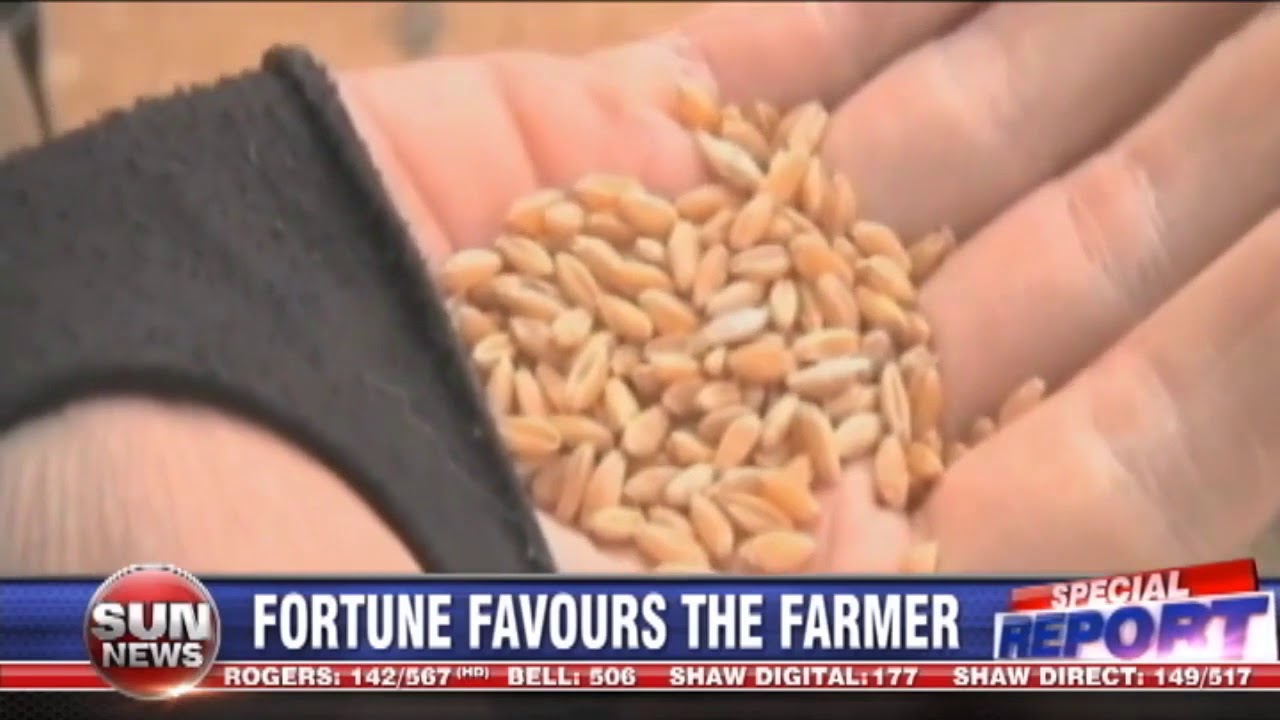 Grain gets going in Western Canada