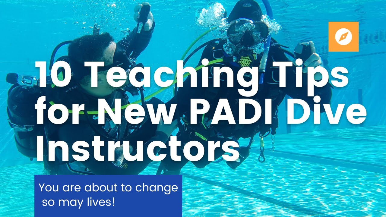 10 Teaching Tips For New Padi Dive Instructors