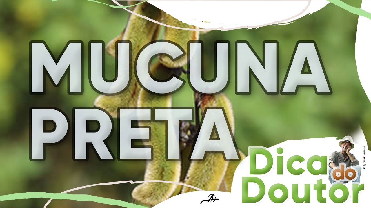 Dica do Doutor #238 - Mucuna preta
