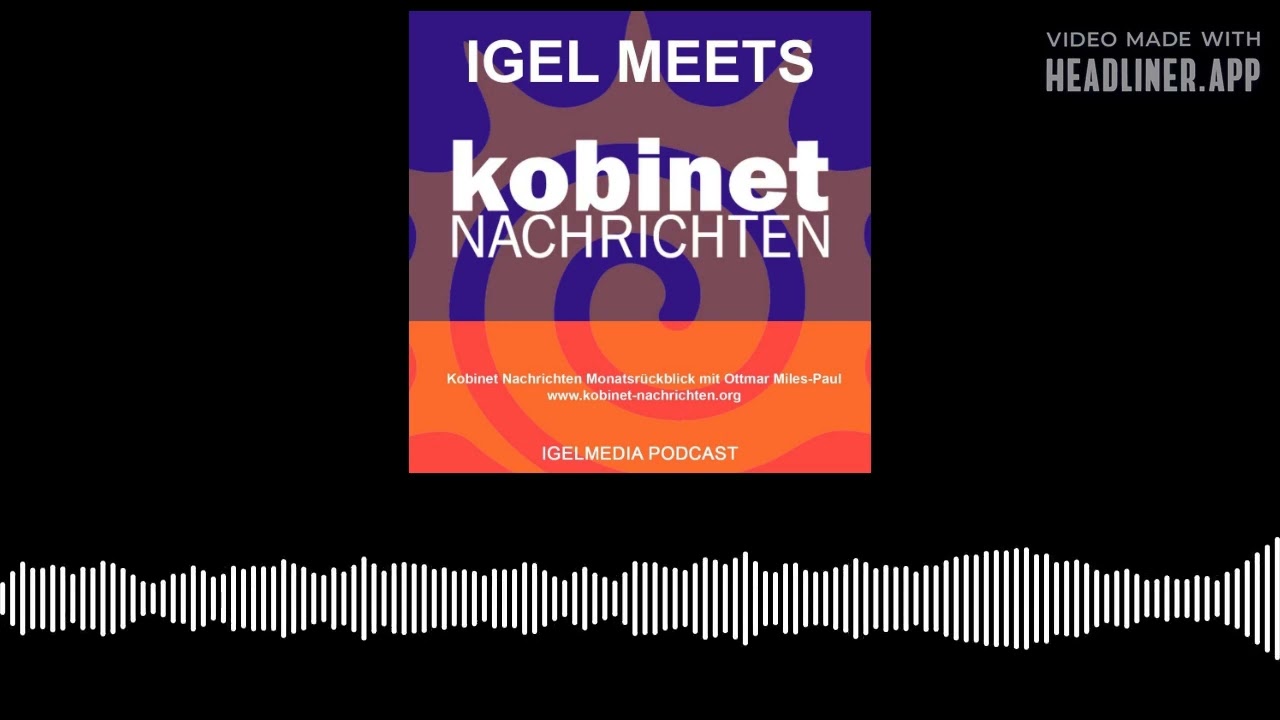 IGEL - Inklusion Ganz Einfach Leben - Bremsen Deutschland und &Ouml;sterreich die Umsetzung einer...