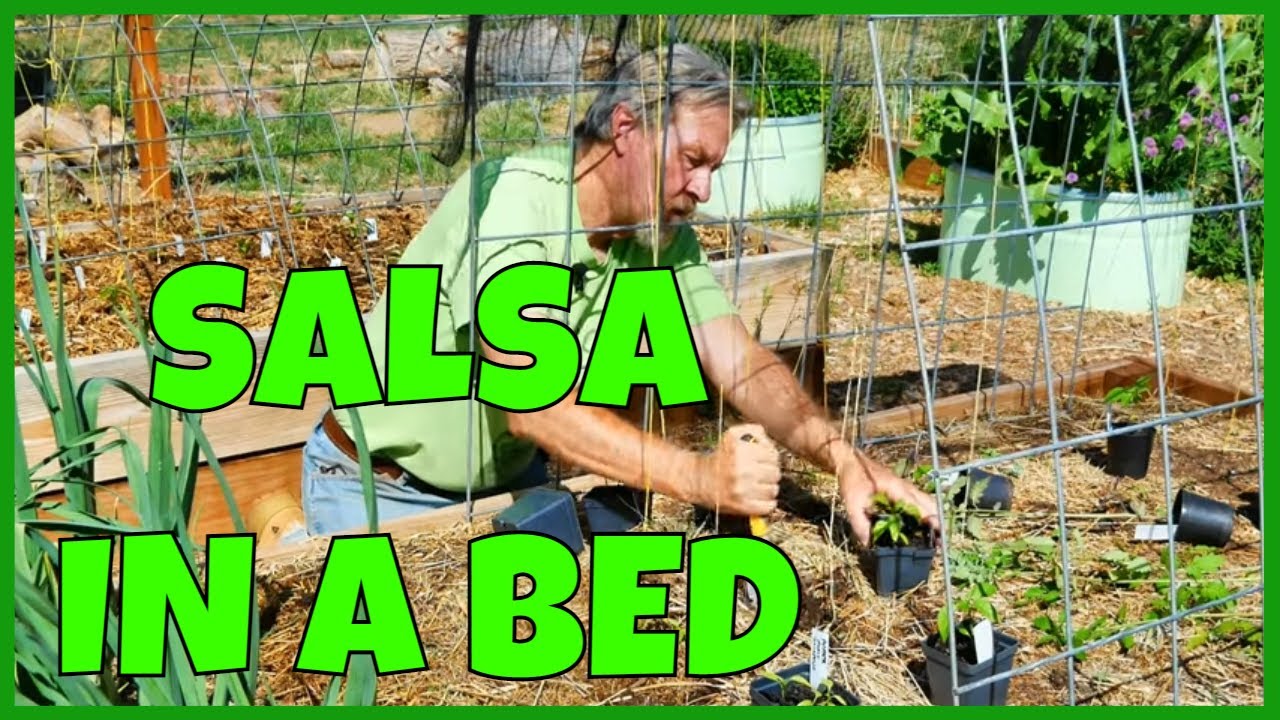 How to Plant a Salsa Garden