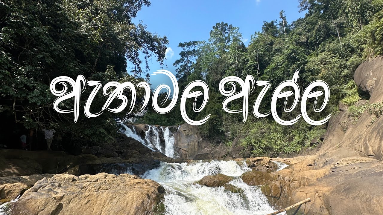 මේ වගේ ලස්සන ඇල්ලක් බලන්න ගියේ ගොඩ කලකින්😁🌊 |vlog 01  #waterfall  #ella  #trave