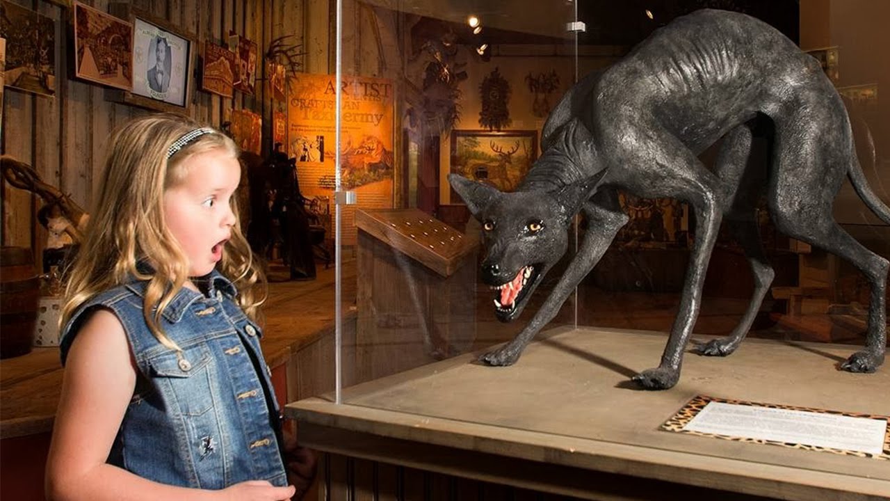 Mythical Creatures That Actually Existed