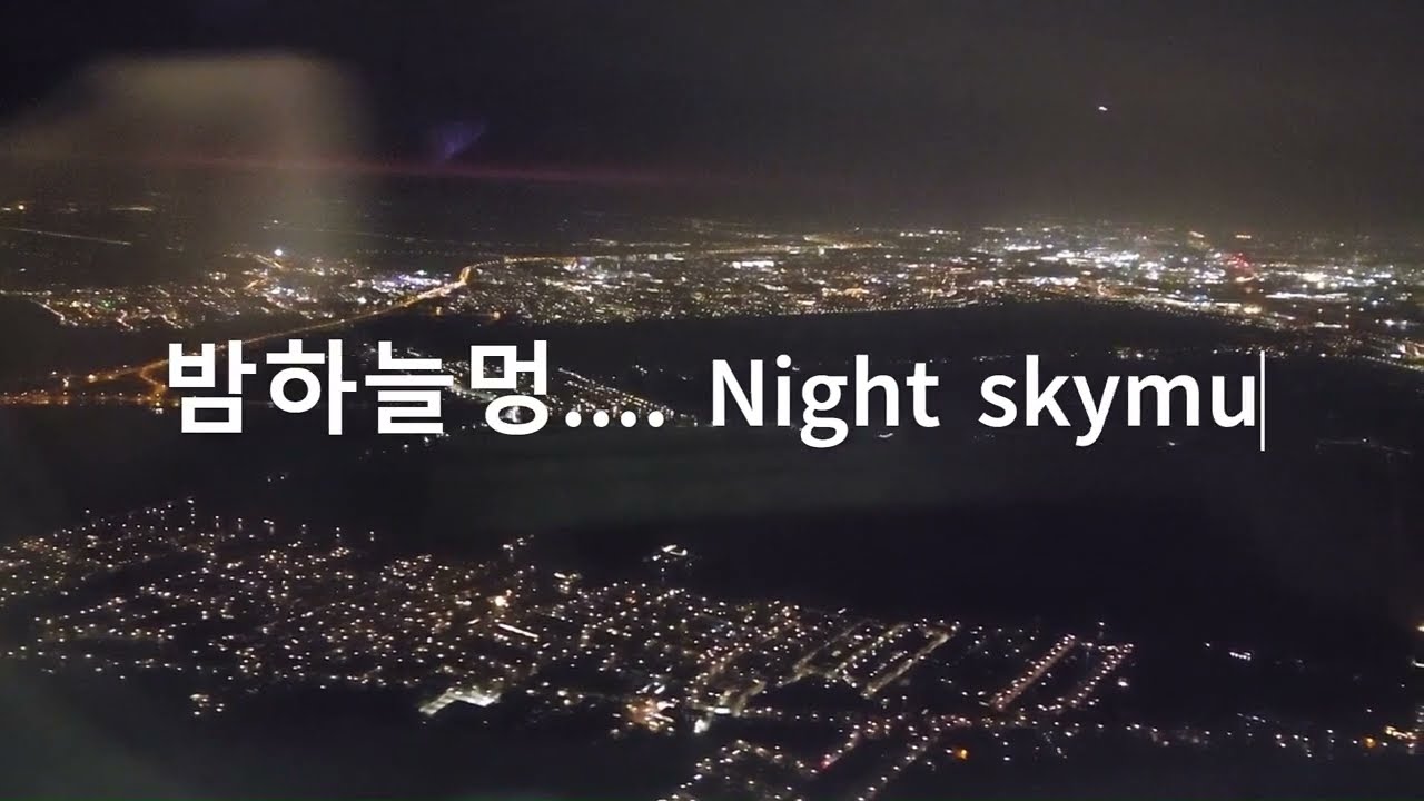 진짜 볼만한 야간착륙 암스테르담 Landing at AMS, 27Nov2022, KL862, B777 200 - EP04