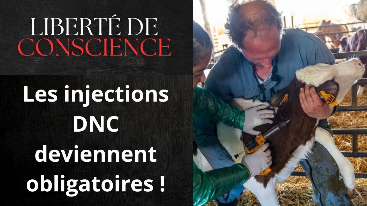 21/01 Décryptage des documents de vaccination obligatoire 