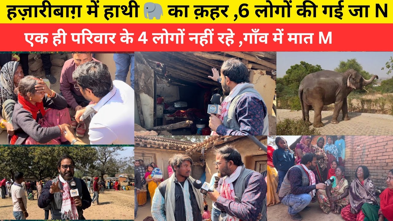 हज़ारीबाग़ में हाथी 🐘 का क़हर ,6 लोगों की गई जा N, एक ही परिवार के 4 लोगों नहीं रहे ,गाँव में मात M