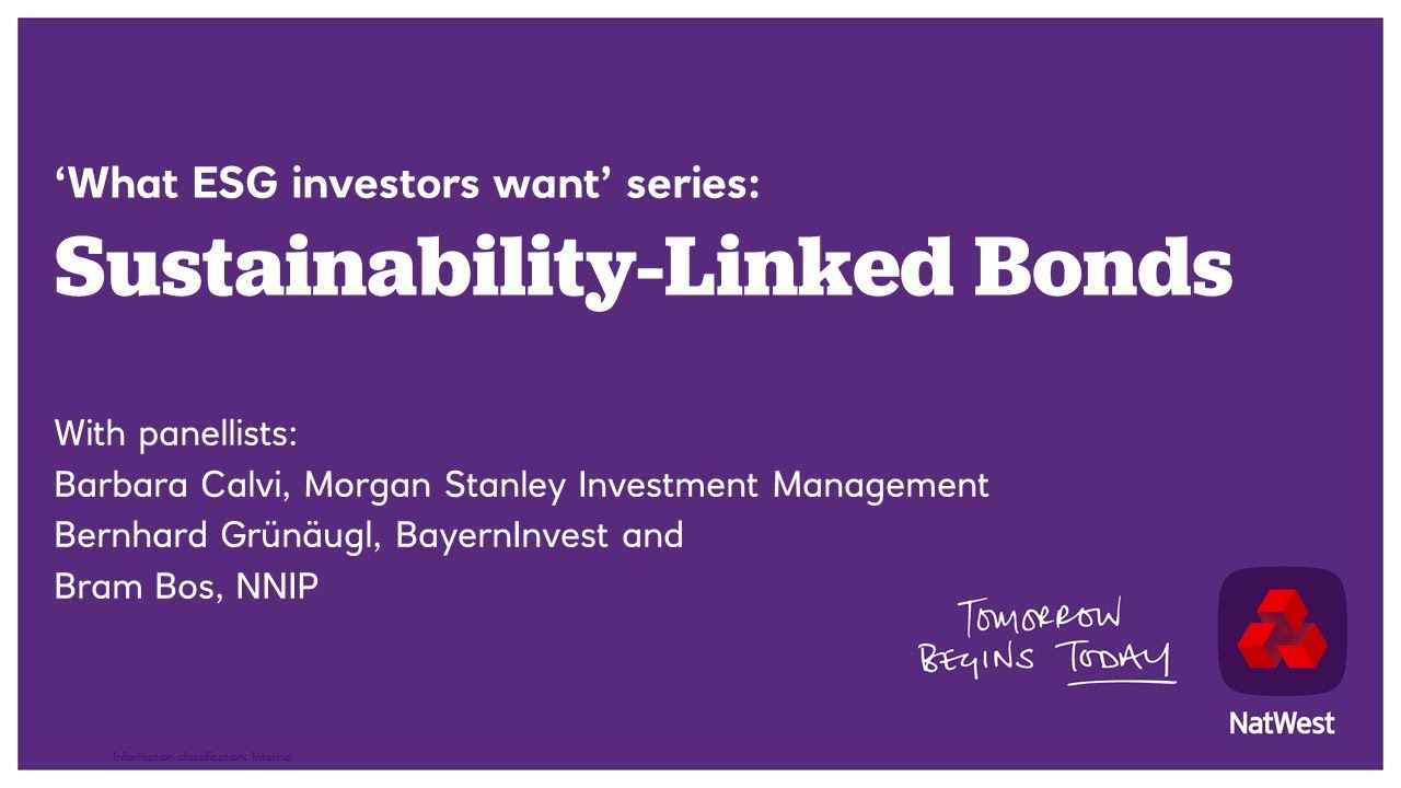 Sustainability Linked Bonds - what ESG Investors Want
