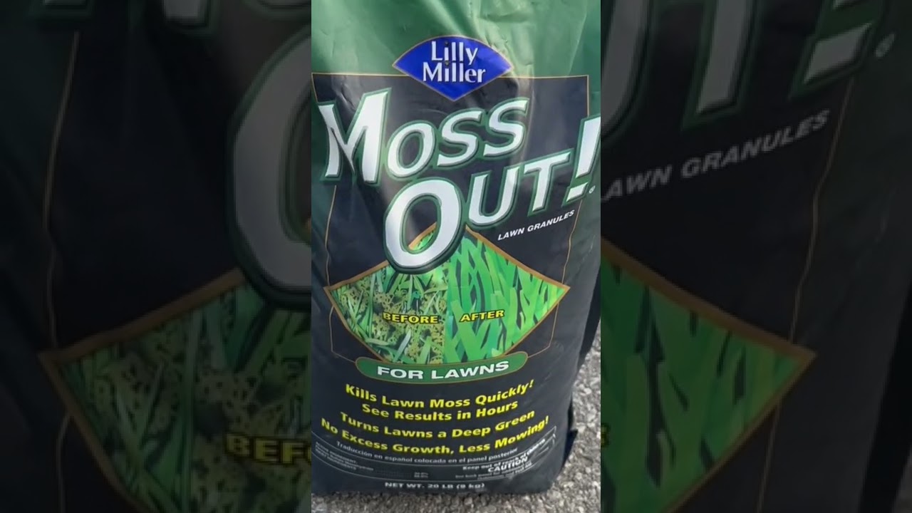 How to Kill Moss Fast and Easy - #shorts #lawn #yardwork
