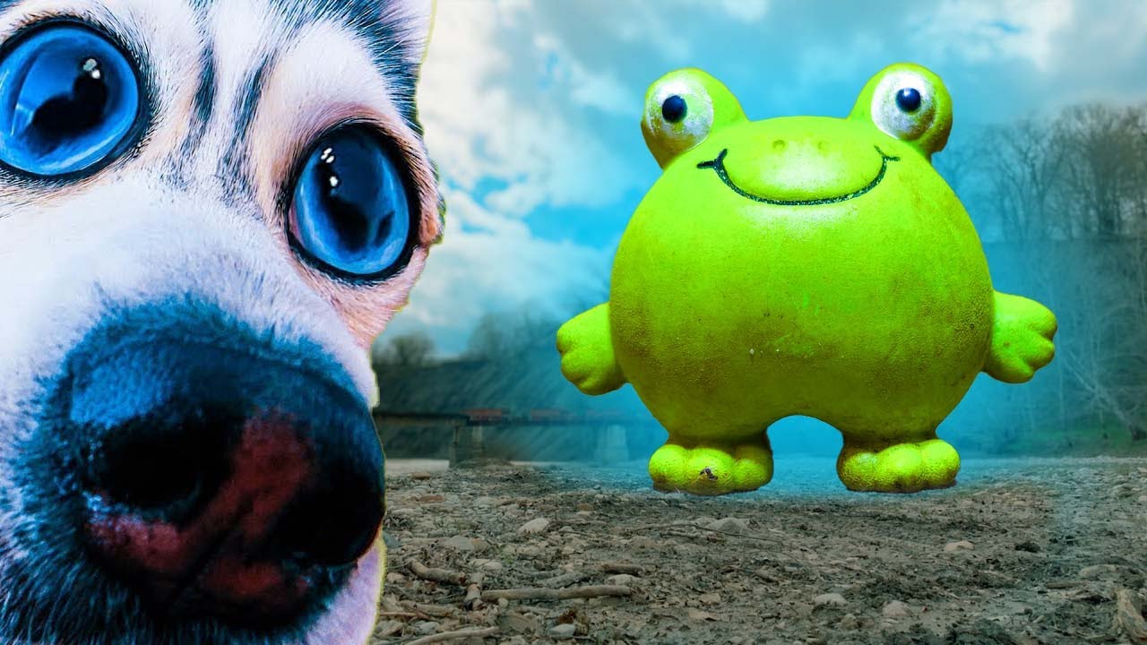 ЖРЁМ ГИГАНТСКИХ АДЫГЕЙСКИХ ЛЯГУШЕК!! Путешествие с караваном COOL DOGS