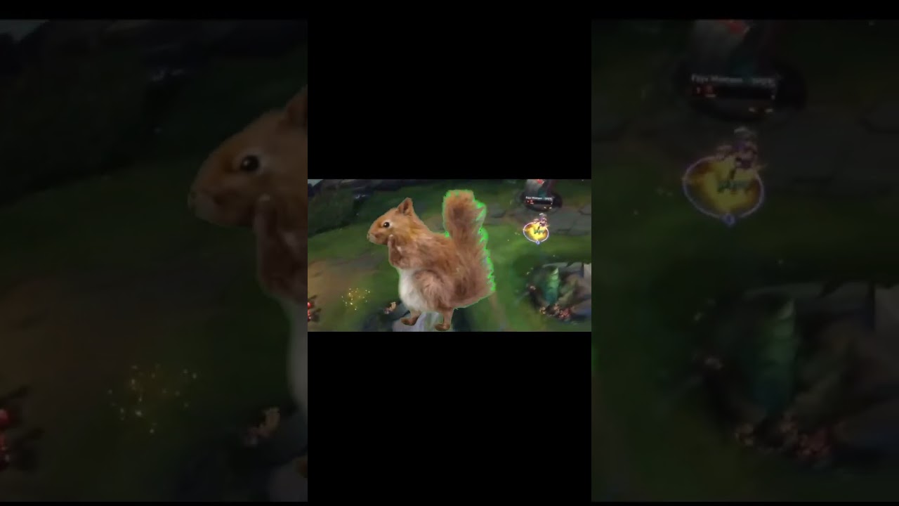 Best player EUW 