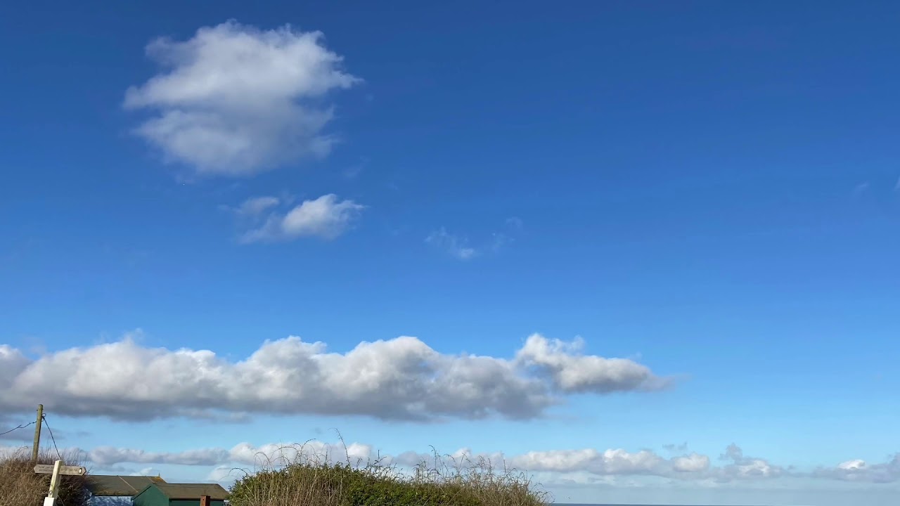 Scratby, Norfolk with Seal (at end) 4th Nov 2020