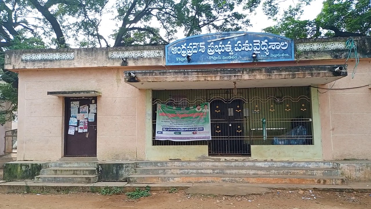 Nellore district kovur government hospital