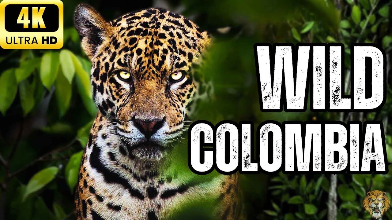 WILD COLOMBIA: Untouched Wilderness From the Andes to the Amazon | Animals Documentary 2025