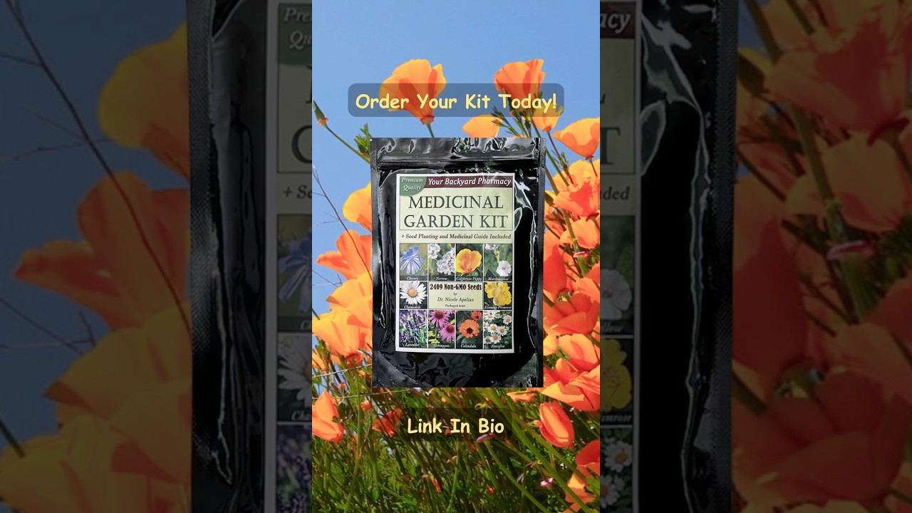 This Is Missing From Your Backyard | A Medicinal Garden 🪴#medicinalgarden #shorts