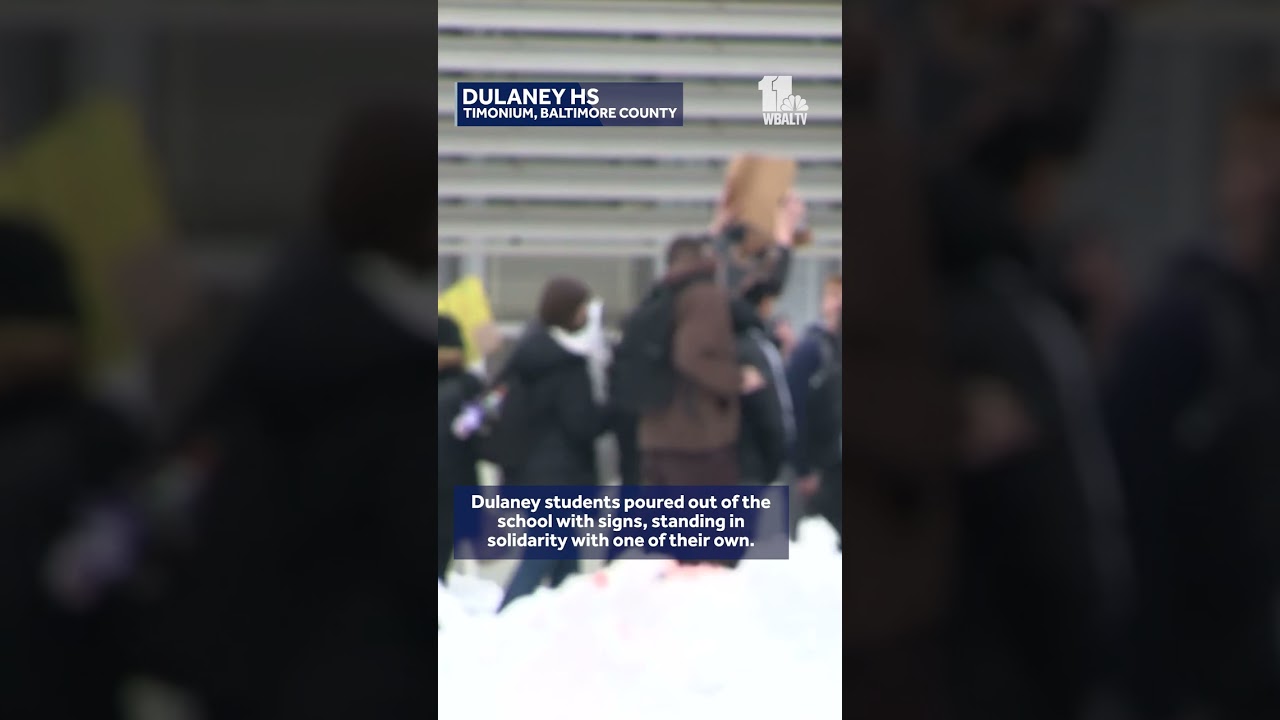 School ICE walkouts