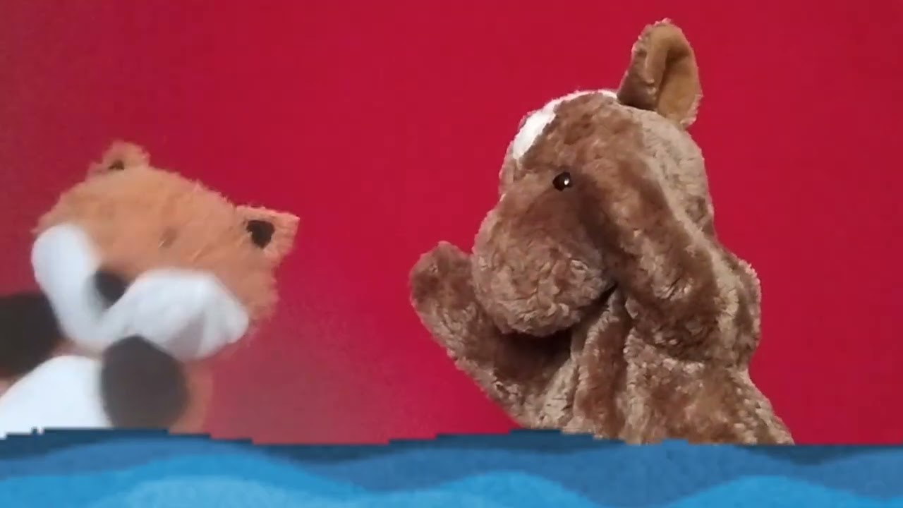Foxxy and Friends Show/ Extremely hot day