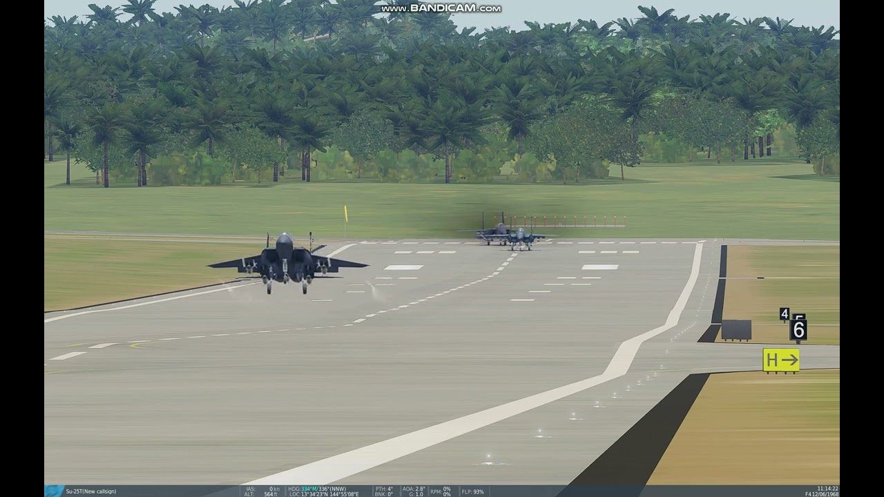 DCS - F15 Eagle of Different Variants and colors (takeing off)