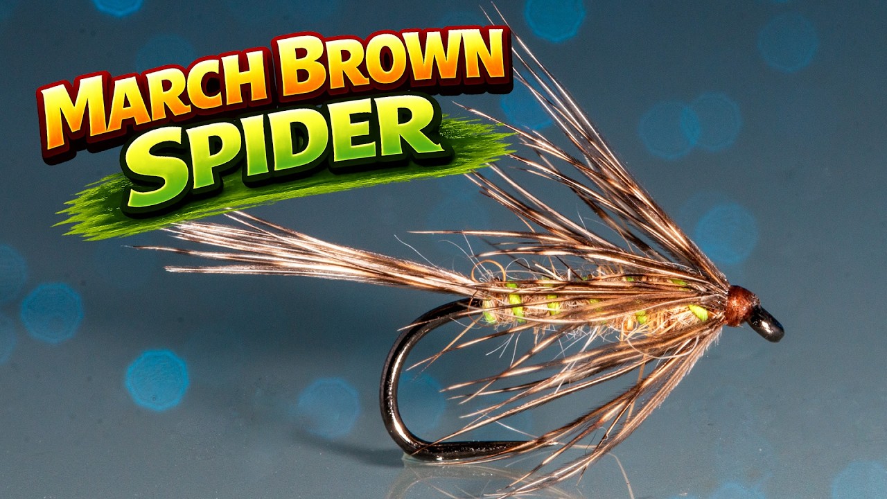 March Brown Spider &ndash; mokra mucha na pstrąga | Fly Tying