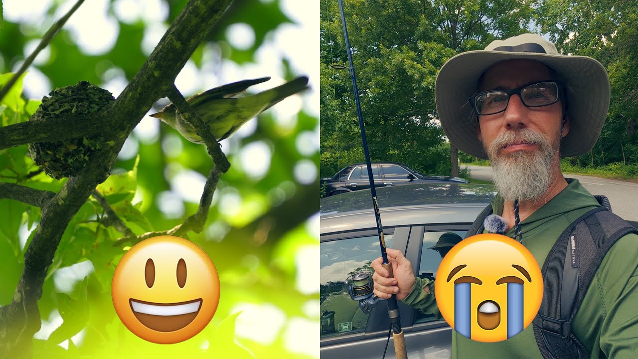 Birding 😃 But Not Fishing 😭 at the John Heinz NWR in Philadelphia, PA