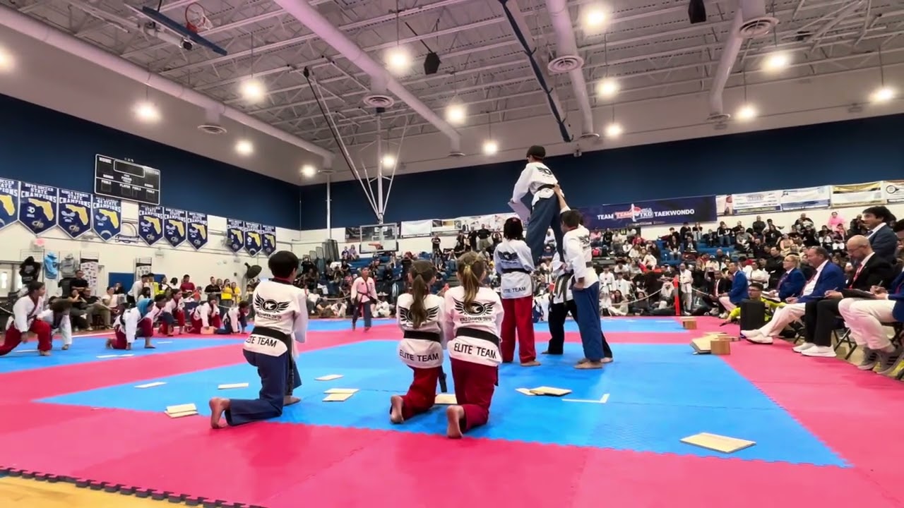 Taekwondo Demo by Junior Demo Team of WCC in Winter Games
