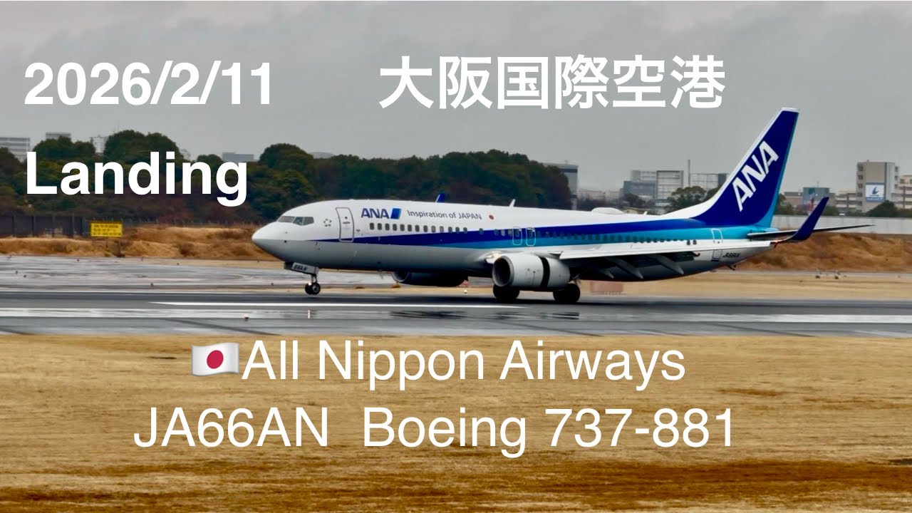 2026/2/11大阪国際空港 JA66AN Landing #伊丹空港 #大阪国際空港 #伊丹スカイパーク #飛行機 #ana #airplane #landing 