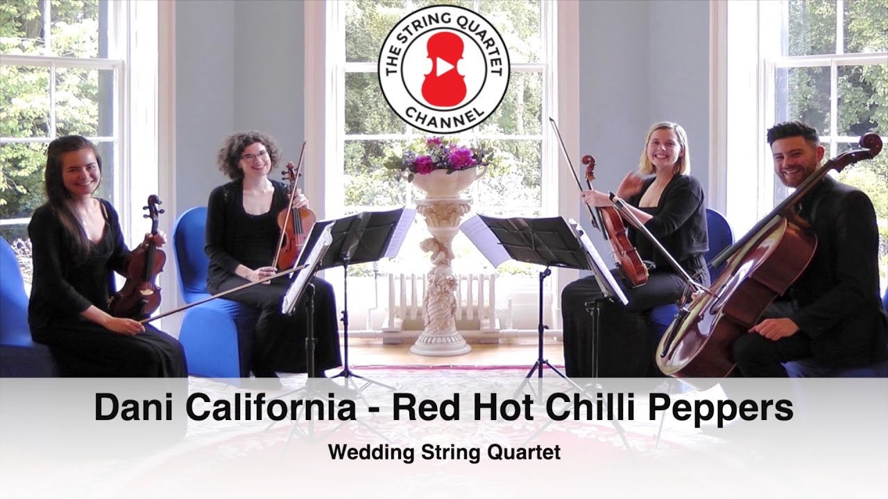 Dani California (Red Hot Chilli Peppers) Wedding String Quartet - 4K