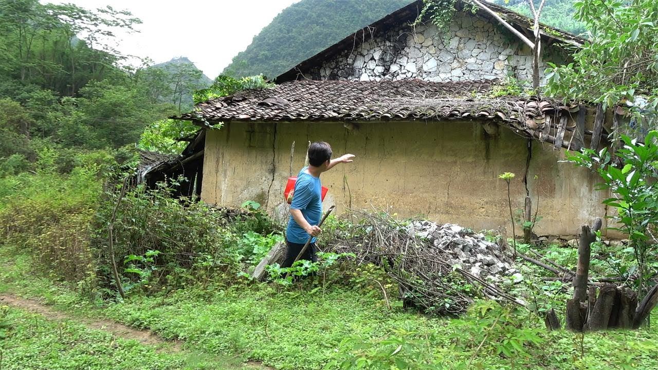 广西最深山的一个无人村，水果遍地挂满了枝头，人为何离开了
