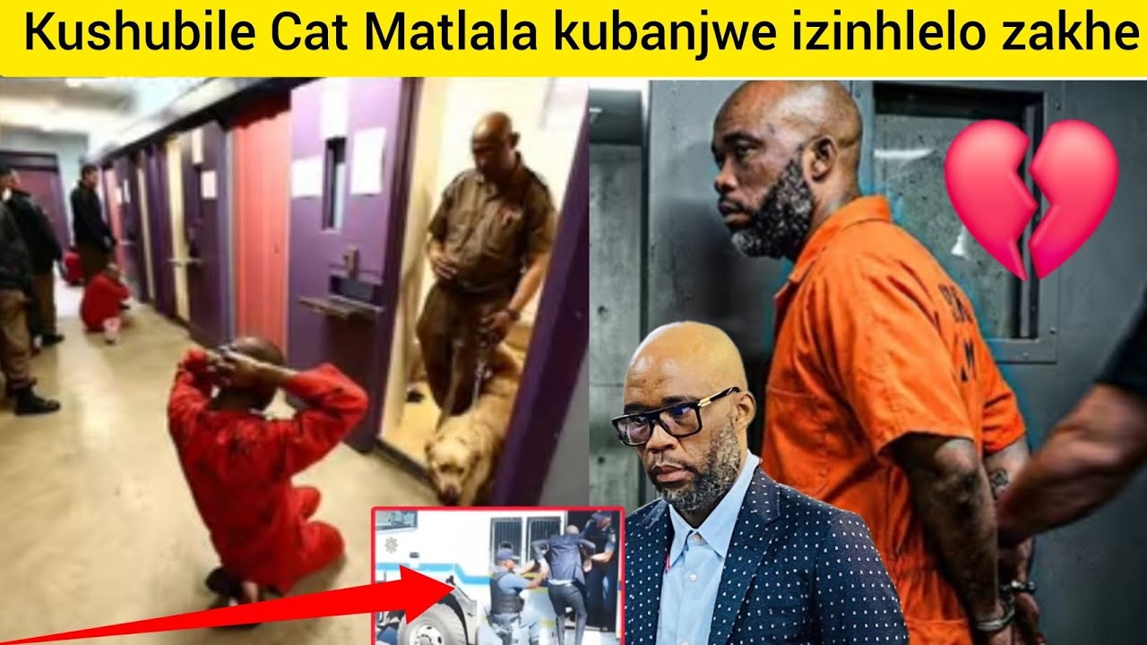 Kushubile💔 kuVusi Cat Matlala 😭kubanjwa zonke izinhlelo zakhe ebelele phezukwazo zizwele nayi lendab