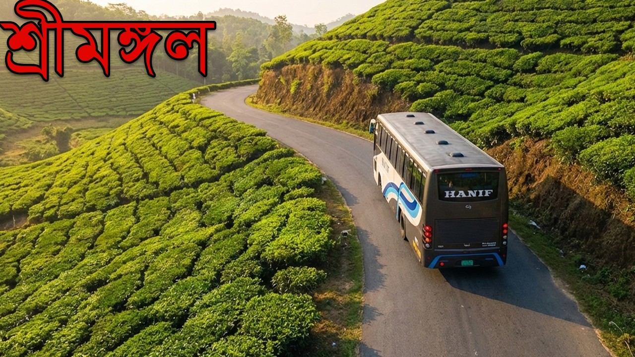 ETS2: শ্রীমঙ্গল এতো সুন্দর আগে জানতাম না 😱 | Hanif Special Bus | Map of Bangladesh MBD Map V8.0
