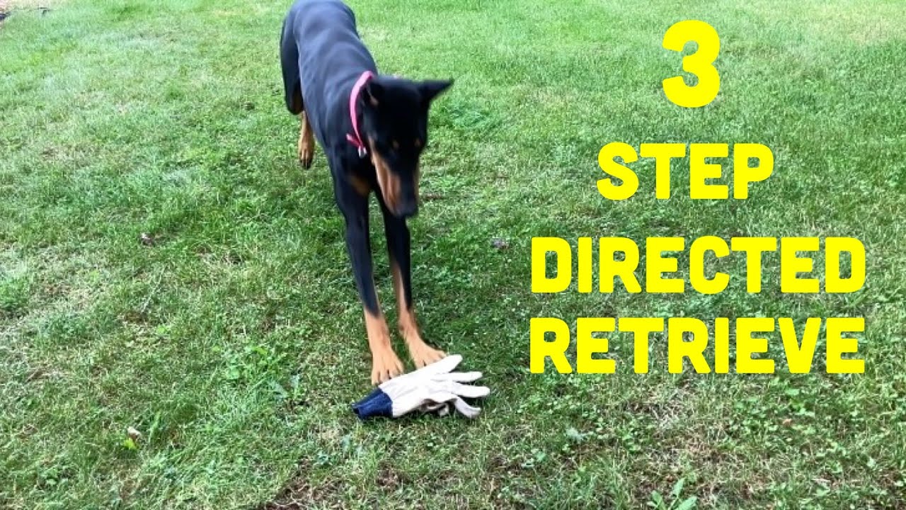 Train AKC Utility Directed Retrieve in 3 Steps