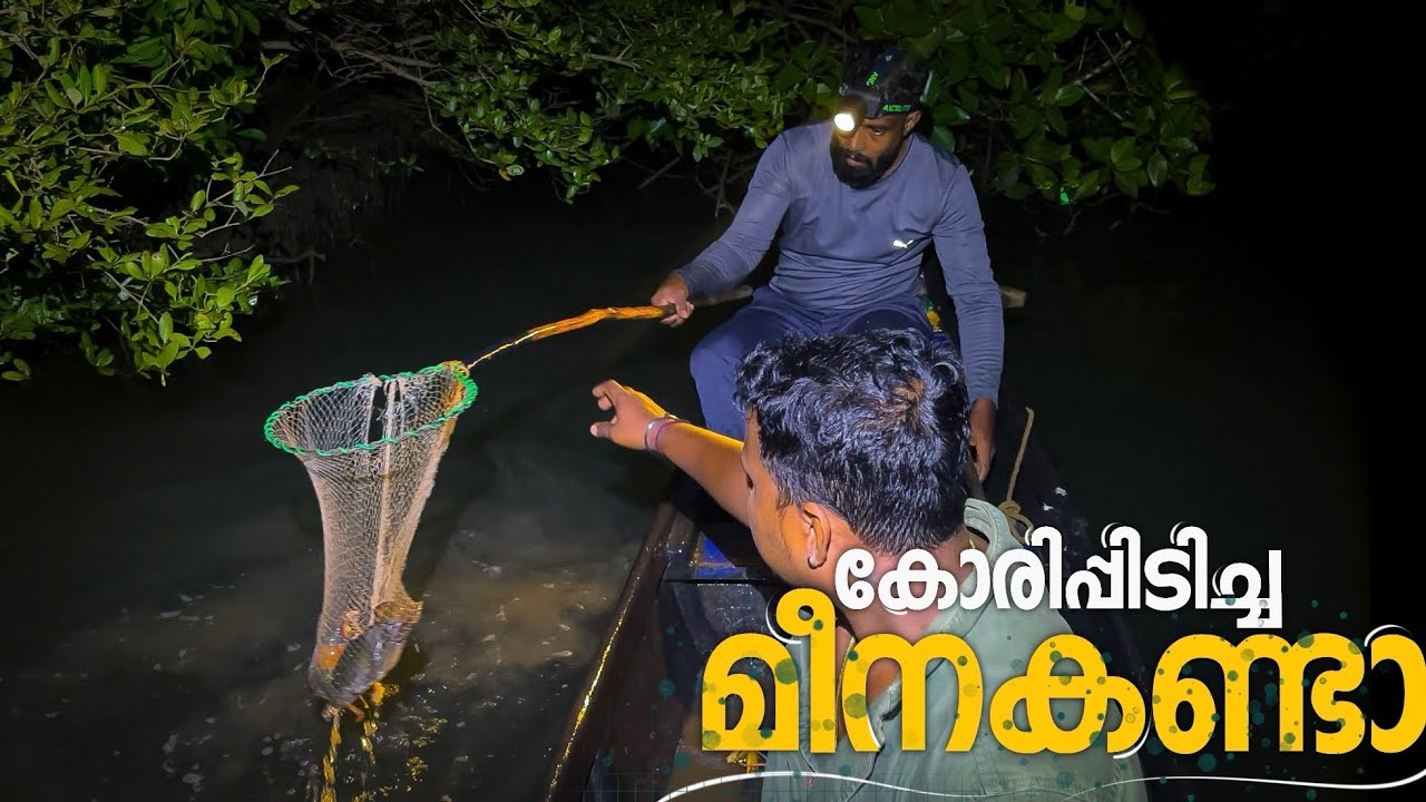 കോരി പിടിച്ച മീനകണ്ടാ|vadakkan vlog||rajeesh vadakkan||rajeesh vadakkan
