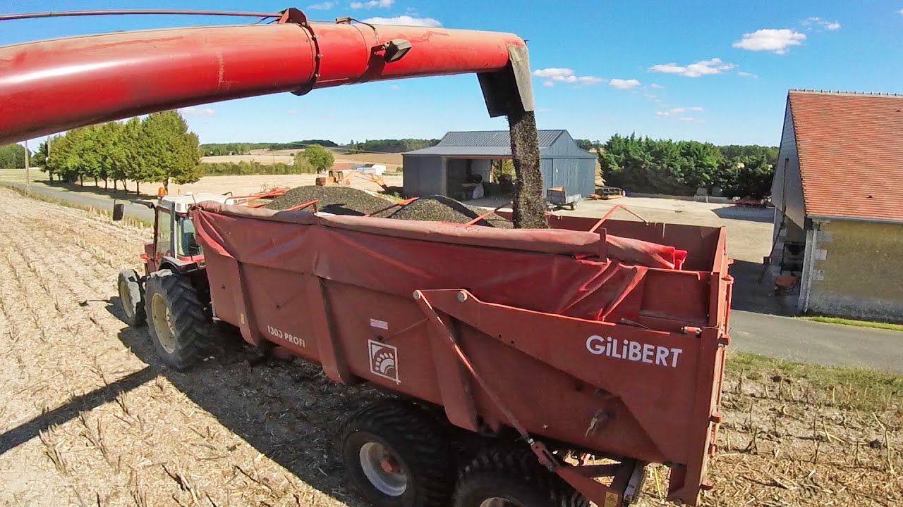 La moisson du tournesol - 2019