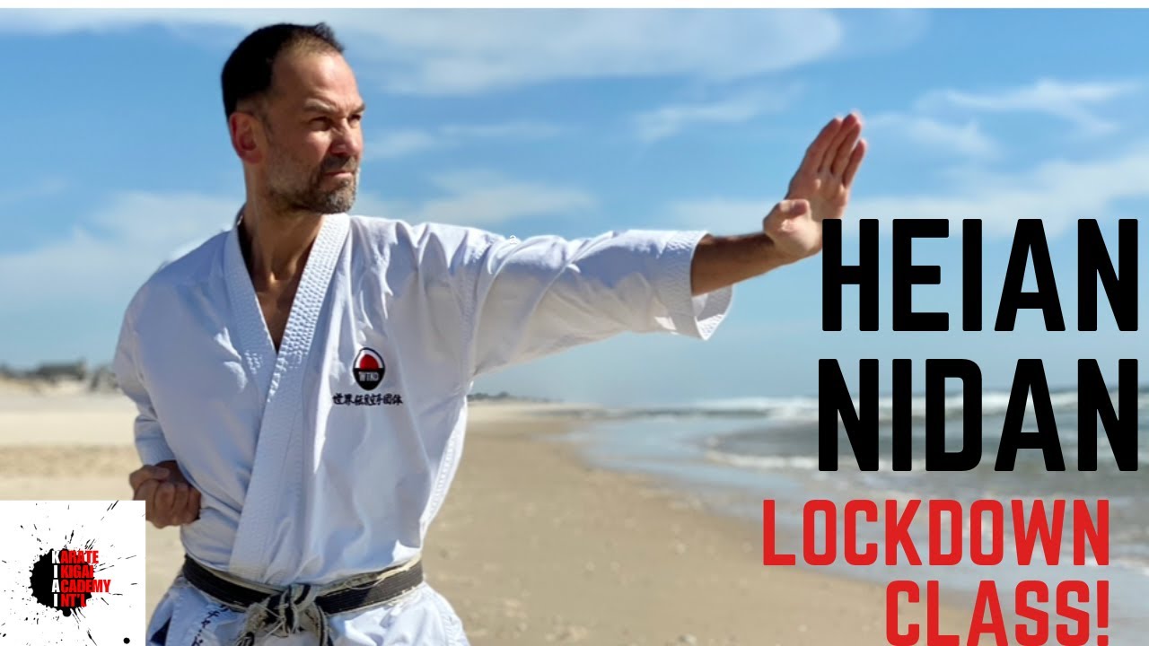 Richard Amos 40-minute Kihon Class themed around Heian Nidan 四十分基本と平安二段の稽古