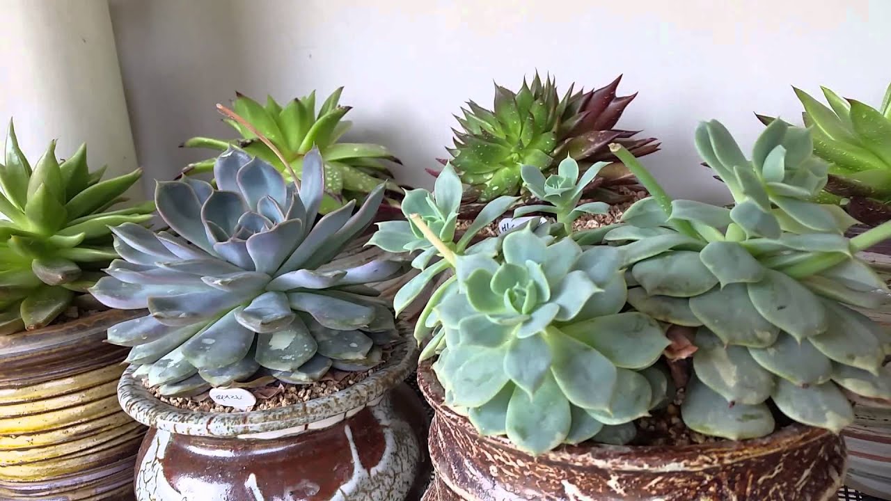 ㅇ