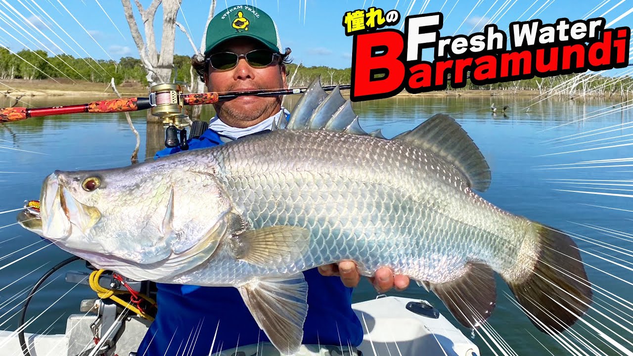 銀の鎧を纏った怪魚を釣る！