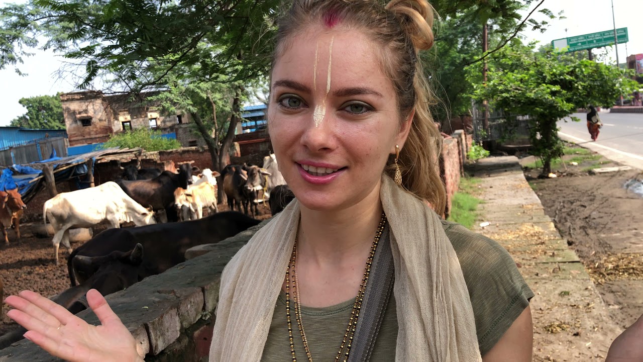 Gau Seva/ Vrindavan/ 23.09.2021